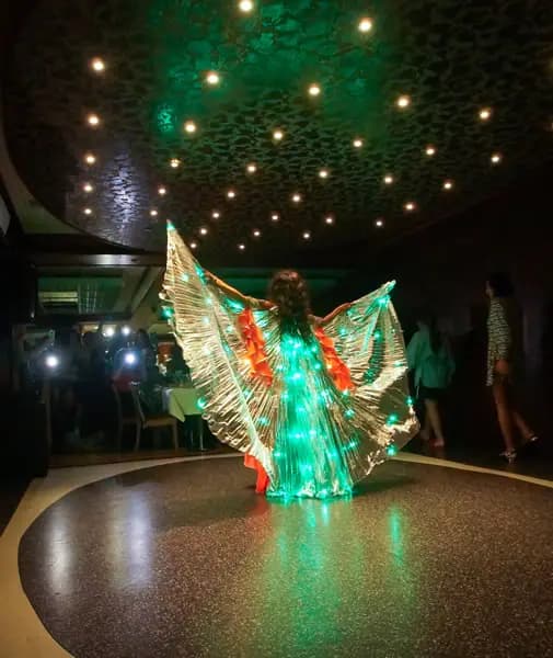 A dancer in an illuminated wing costume on the dance floor at night
